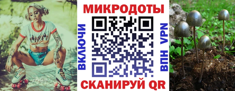Псилоцибиновые грибы мухоморы  хочу   Шумерля 